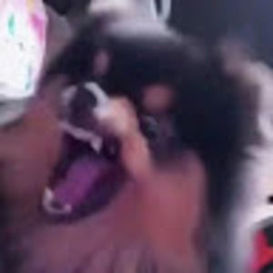 Meet your Posher, Payton